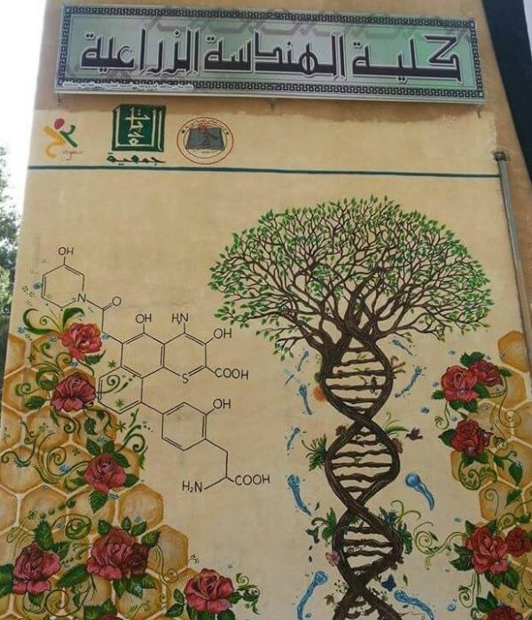 310725330_422454416688581_7518850186921813615_n