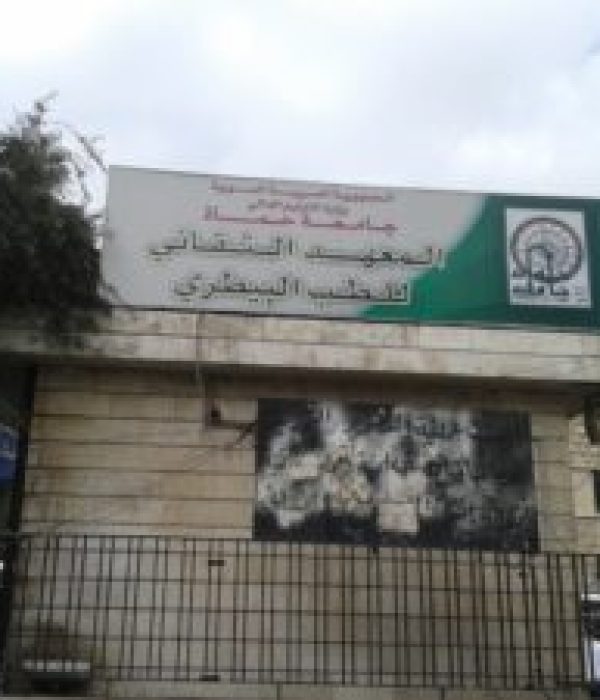 الرئيسية-300x225